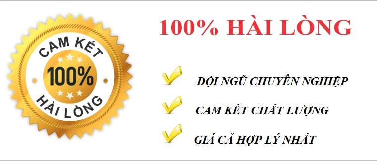 Ở Đâu Sửa Chữa, Cài Đặt, Cứu Dữ Liệu Máy Tính Sony Vaio Ở TPHCM 2