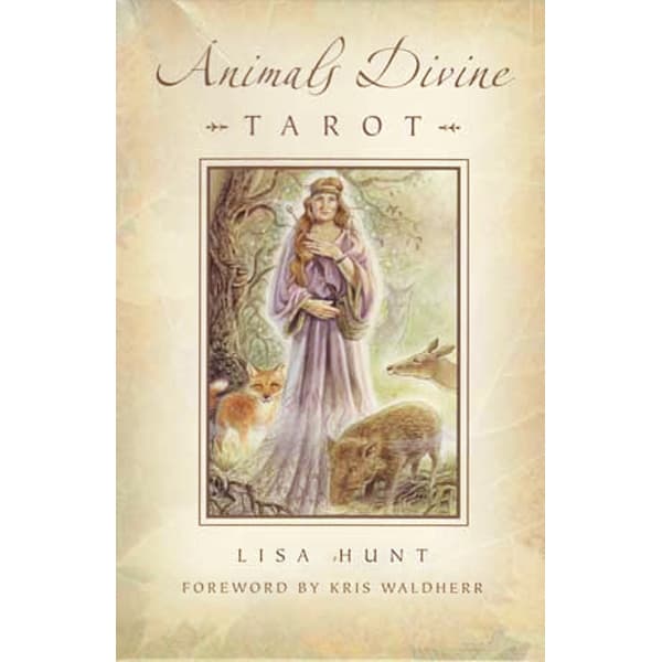Bộ bài Animals Divine Tarot chính hãng 4