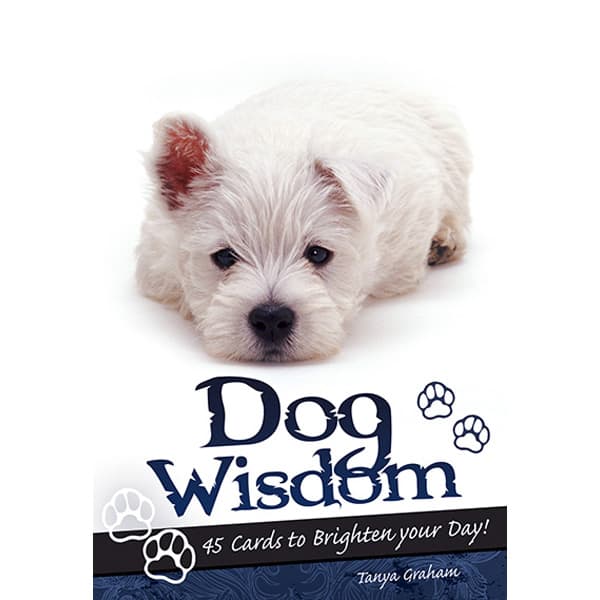 Bộ bài Dog Wisdom Cards chính hãng 3