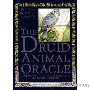Bộ bài Druid Animal Oracle chính hãng 15