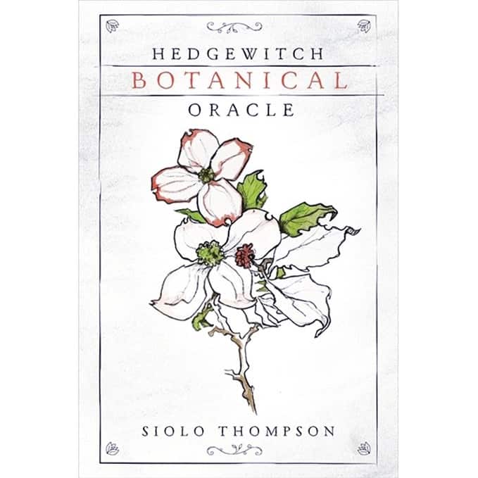 Bộ bài Hedgewitch Botanical Oracle chính hãng 18