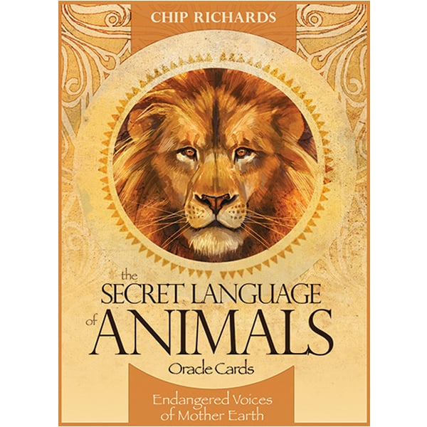 Bộ bài Secret Language Of Animals Oracle chính hãng 17 Bộ bài Secret Language Of Animals Oracle chính hãng 9