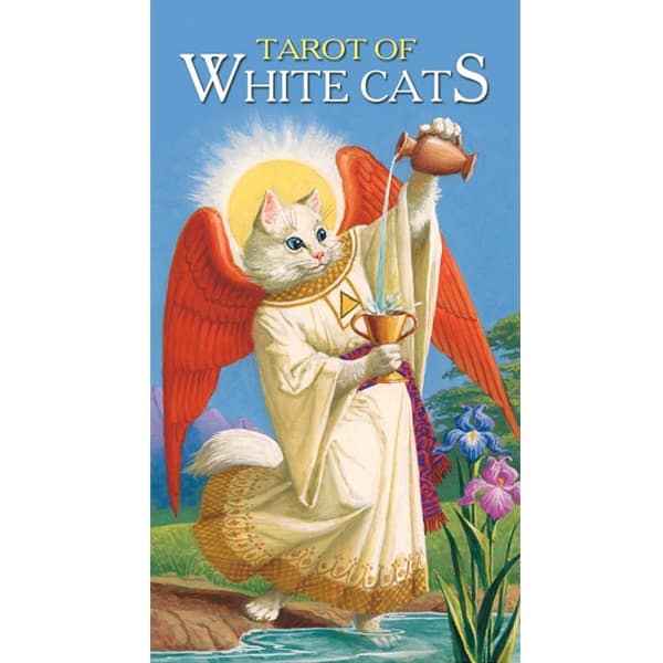 Bộ bài Tarot of White Cats chính hãng 4