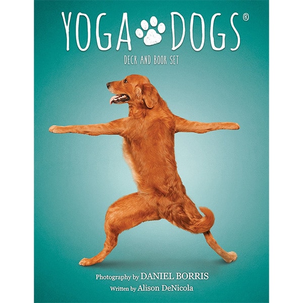 Bộ bài Yoga Dogs Oracle chính hãng 25 Bộ bài Yoga Dogs Oracle chính hãng 13