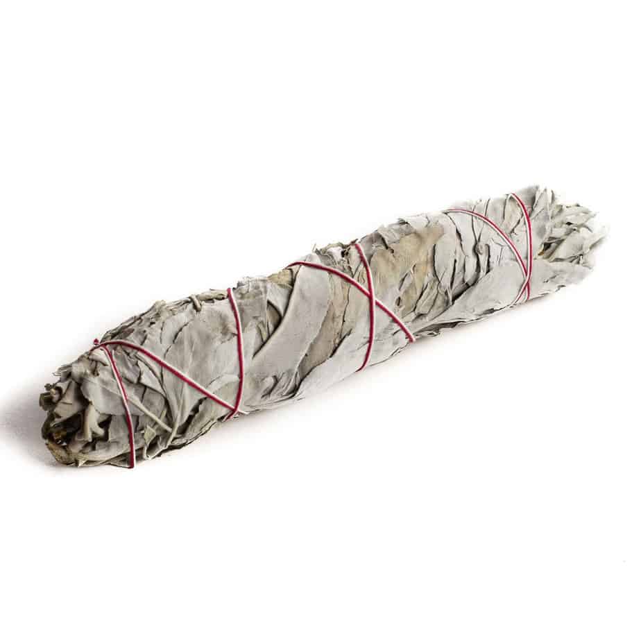 Bộ bài Xô Thơm Trắng (White Sage) - Set 02 Bó Dài 20-23 cm chính hãng 5